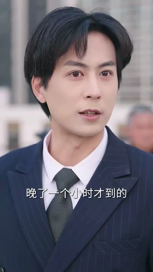 妻子的骗局(40集) 妻子的骗局(40集)短剧全集幕后花絮版
