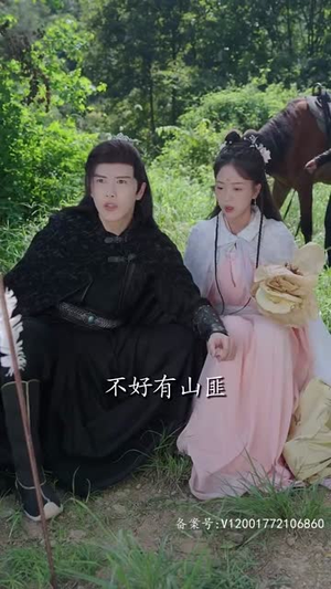 太子妃养成记(97集) 太子妃养成记(97集)短剧完结全集限免刷