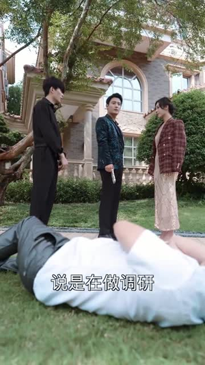 掌中玩物不做陆总金丝雀(90集) 掌中玩物不做陆总金丝雀(90集)短剧合集4K修复版