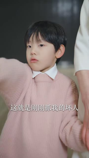 四十而已(52集) 四十而已(52集)短剧全集VR沉浸版