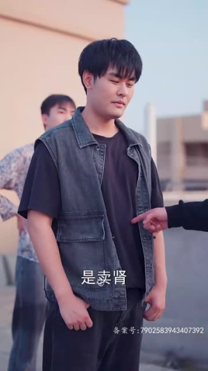 江风知晚意(90集) 江风知晚意(90集)短剧全集投屏大屏看