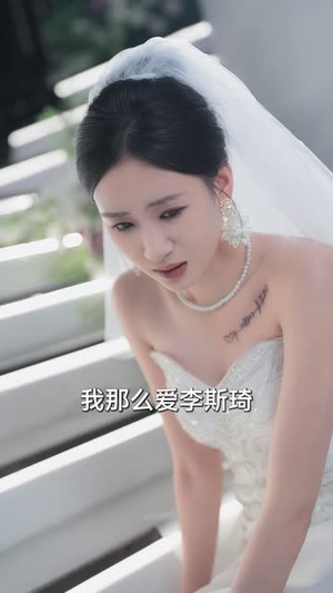 迷雾温情(30集) 迷雾温情(30集)短剧合集蓝光画质