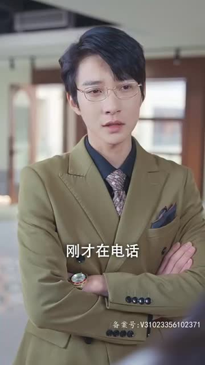 你是我的爱情VIP(100集) 你是我的爱情VIP(100集)短剧最终章免费合集