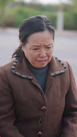 孝意难偿(32集) 孝意难偿(32集)短剧完整版全集放送