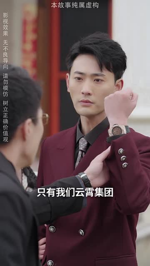 天降老公陪我回家过年(60集) 天降老公陪我回家过年(60集)短剧完结全集限免刷