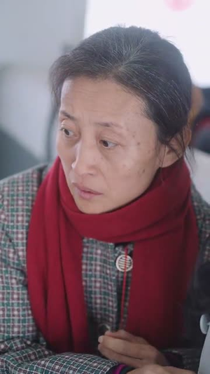 春运归途团圆年(40集) 春运归途团圆年(40集)短剧终极大放送合集