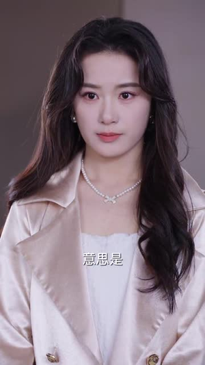 爱情转移(60集) 爱情转移(60集)短剧合集4K修复版