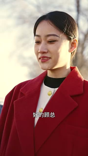 龙婿归来(27集) 龙婿归来(27集)短剧终极大放送合集