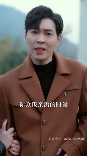 千亿隐豪回村(80集) 千亿隐豪回村(80集)短剧终极大结局合集