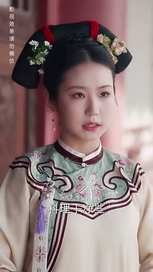 清宫辞之不负韶华(64集) 清宫辞之不负韶华(64集)短剧终章免费大放送