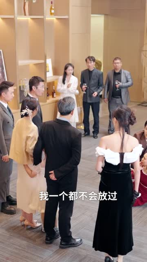奶包小红娘我给爷爷找对象(59集) 奶包小红娘我给爷爷找对象(59集)短剧大结局限免特辑