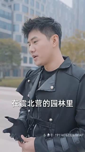 新版:屠龙(79集) 新版:屠龙(79集)短剧大结局限免特辑