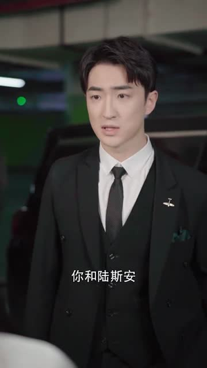 喜欢你的第十年(39集) 喜欢你的第十年(39集)短剧全剧终高清放送
