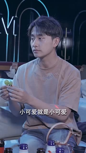 我的巅峰人生(97集) 我的巅峰人生(97集)短剧完结篇全集连播