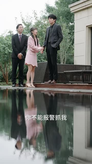 傅总,太太又在征婚了(99集) 傅总,太太又在征婚了(99集)短剧全剧免费合集