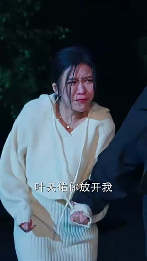 纪画的计划(100集) 纪画的计划(100集)短剧合集彩蛋完整版
