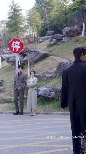 你是我的难忘时光(18集) 你是我的难忘时光(18集)短剧收官全集限免看