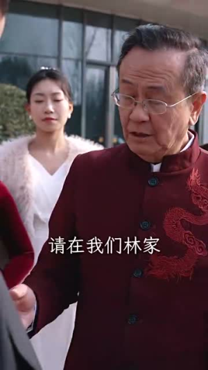 合平饭店(100集) 合平饭店(100集)短剧全系列永久免费