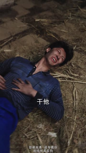 云鹤归乡(65集) 云鹤归乡(65集)短剧合集彩蛋完整版