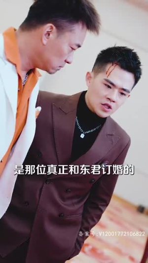 纵横(100集) 纵横(100集)短剧爆款全集在线播