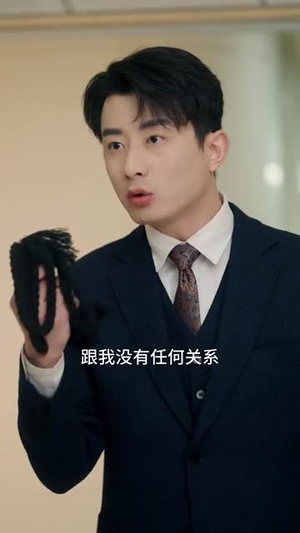 贤夫的反击(37集) 贤夫的反击(37集)短剧全季限免大放送