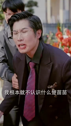 要债不能停(32集) 要债不能停(32集)短剧合集4K修复版