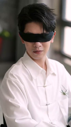 我的瞎子老公是装的(80集) 我的瞎子老公是装的(80集)短剧热映全集免费刷