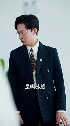 重启人生后我高不可攀(73集) 重启人生后我高不可攀(73集)短剧合集4K修复版